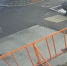 В Первоуральске сорвавшаяся овчарка напала на детей - Pervo66.Ru