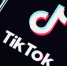 TikTok приостановил работу в России из-за закона о фейках - Pervo66.Ru