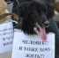 4c69750b8d753696acaddb314c36ea3b - Городские вести