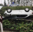 Под Первоуральском легковой автомобиль «сделал уши» на садовый участок - Pervo.Ru