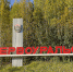 Первый этап конкурса на должность главы. Список кандидатов - Pervo.Ru