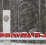Депутаты предложили централизовать утверждение генпланов - Pervo.Ru