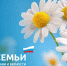 В Первоуральске отметят День семьи, любви и верности - Pervo.Ru