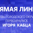 Глава Первоуральска Игорь Кабец провел прямую линию, посвященную итогам 2024 года - Администрация г. Первоуральск