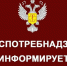 День открытых дверей для предпринимателей - Администрация г. Первоуральск