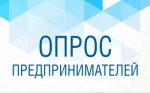 Анкетирование предпринимателей