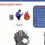 Акция «Неделя профилактики» - Управление социальной политики №5